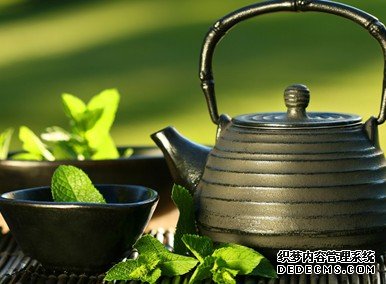 茶叶的加工方法,加工技巧有哪些,新兴县满氏家庭农场和你说下