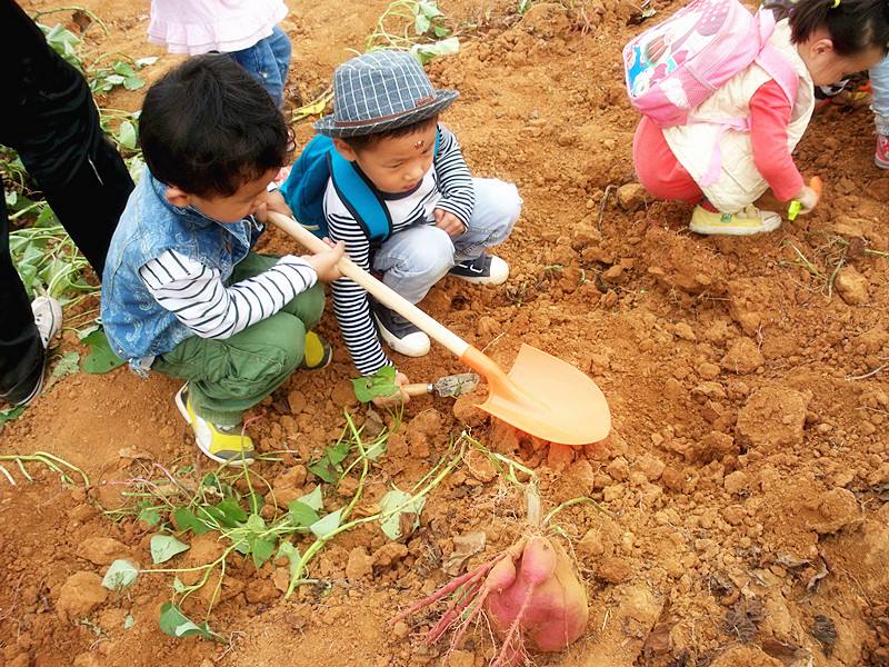 除了建好农庄农场或者农家乐的基础设置，完善